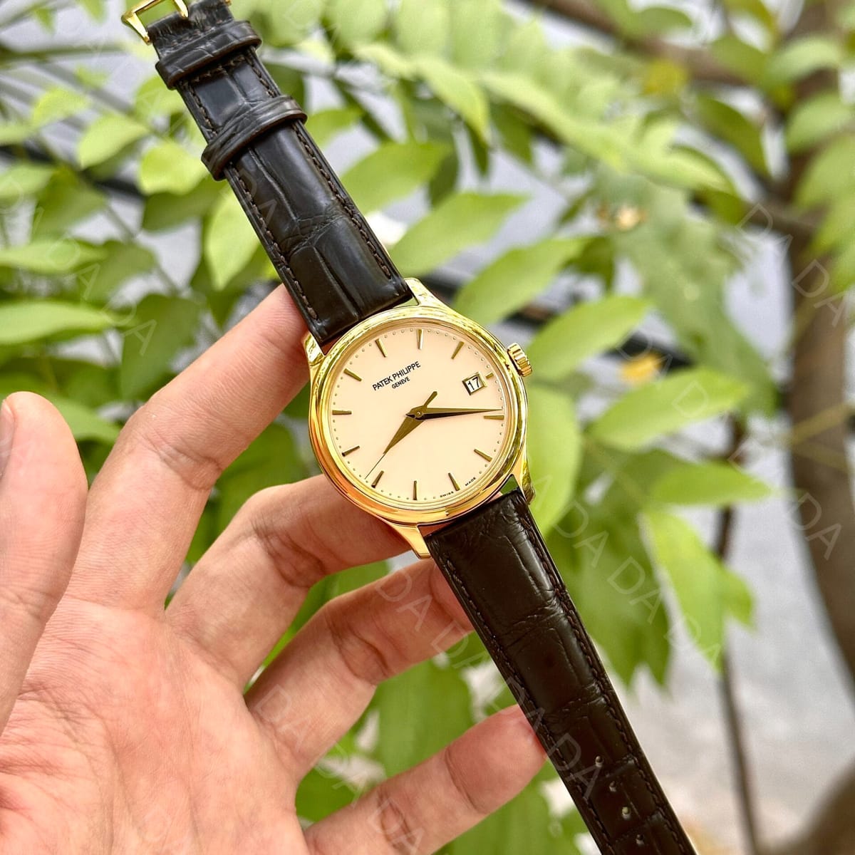 파텍필립 칼라트라바 5227 옐로우골드 금통 39mm 3