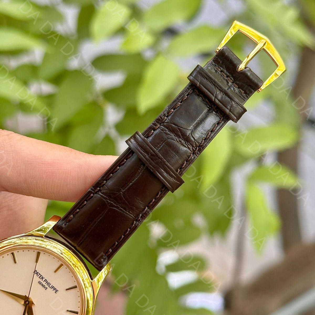 파텍필립 칼라트라바 5227 옐로우골드 금통 39mm 9
