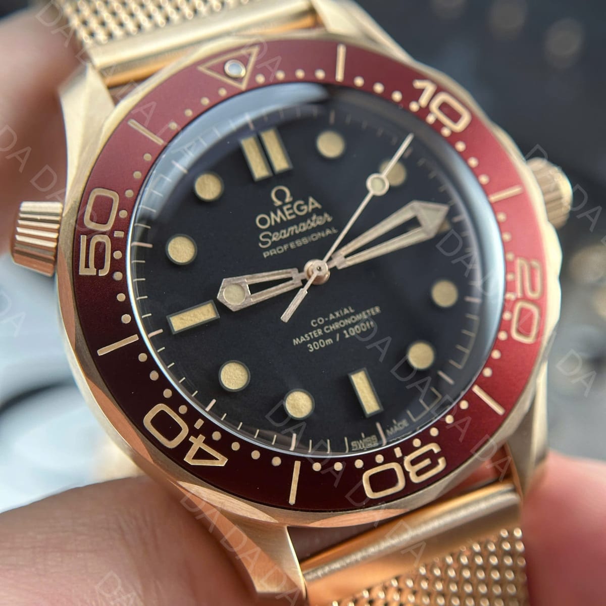 오메가 씨마스터 다이버 300 브론즈 금통 버건디 42mm 5